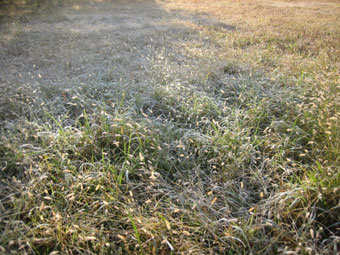 a0064506_14581930.jpg