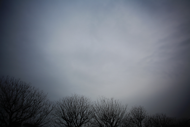 a0008508_23595367.jpg