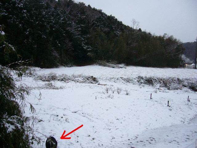 e0015108_22231025.jpg