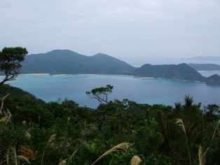 a0075613_171856.jpg