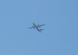 b0024023_236165.jpg