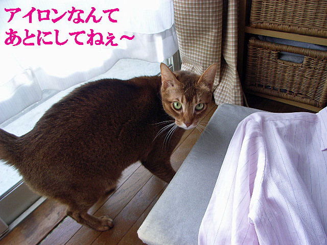 d0081025_2221391.jpg