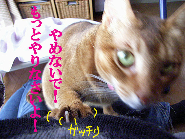 d0081025_22245759.jpg