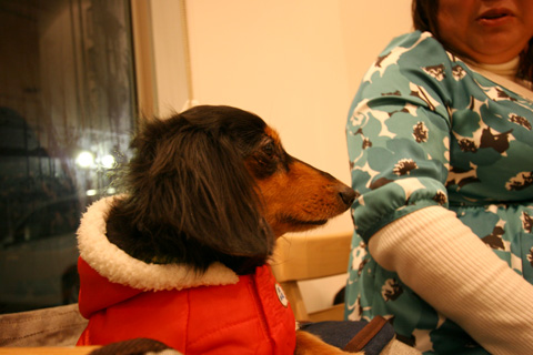 e0071225_3105575.jpg