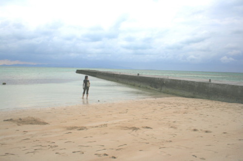 d0098941_16444924.jpg