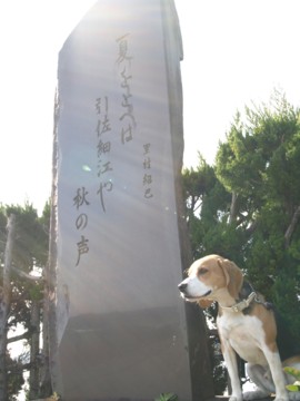 c0119142_5282969.jpg