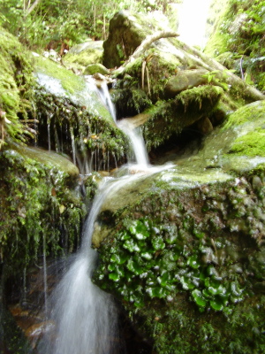f0079844_17343946.jpg