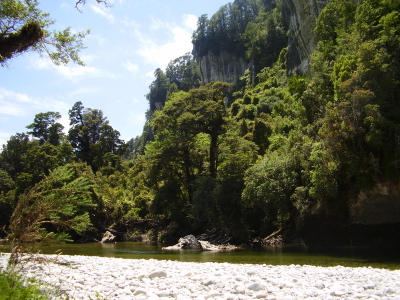 f0079844_17374618.jpg