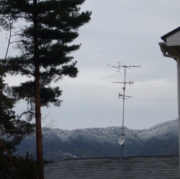 e0100046_1891666.jpg