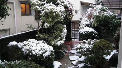 e0120156_9481084.jpg