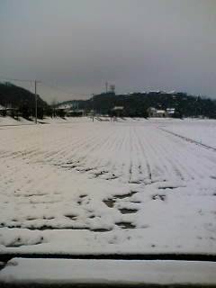 f0074659_147195.jpg