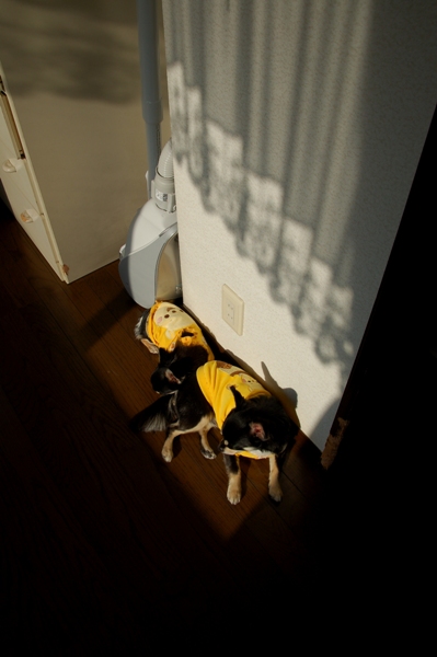 f0065768_1445145.jpg