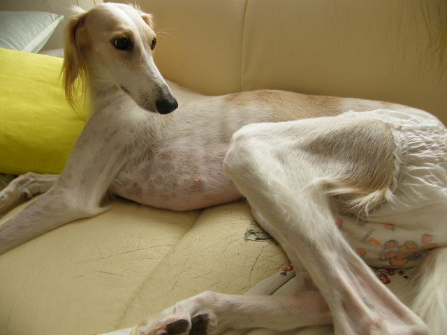 e0003270_22225962.jpg