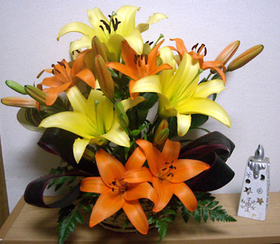 e0097770_23501219.jpg