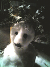 b0052471_0312278.jpg