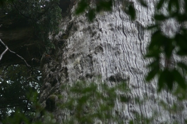 d0079278_2111644.jpg