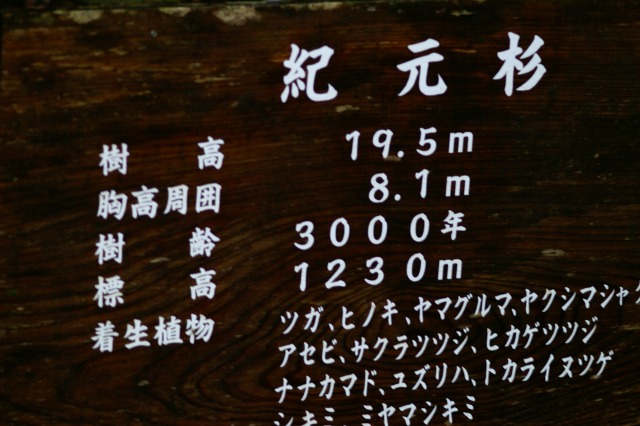 d0079278_2183525.jpg