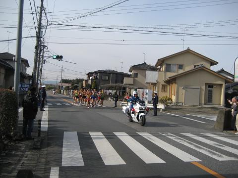 b0032079_117346.jpg