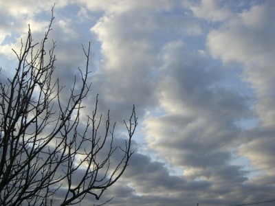 c0078480_2357125.jpg