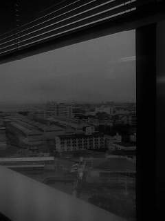 f0100480_19535789.jpg