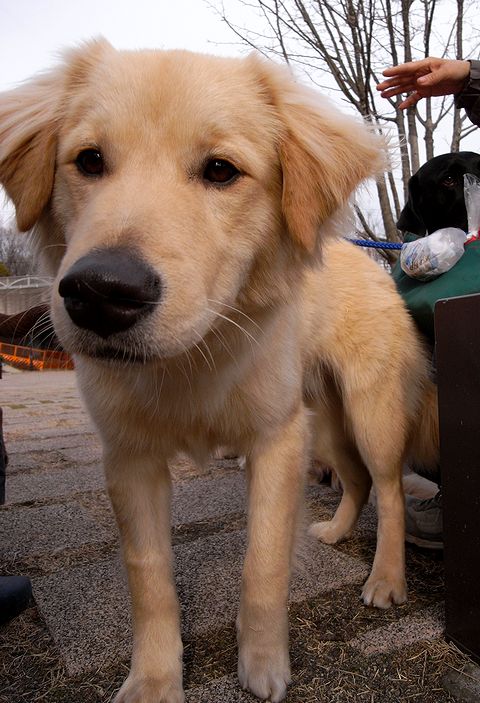a0093592_22433266.jpg