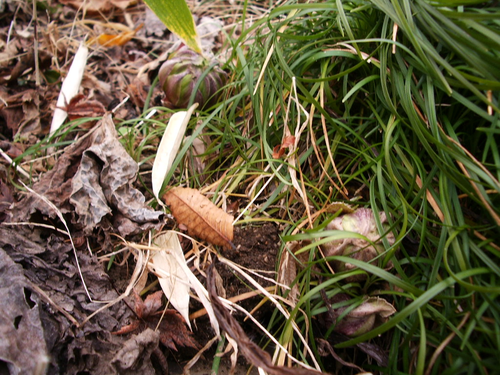 a0061594_0443077.jpg