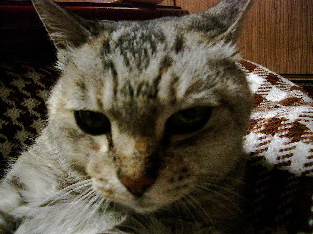 a0061594_0445663.jpg