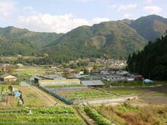 b0099994_1155291.jpg