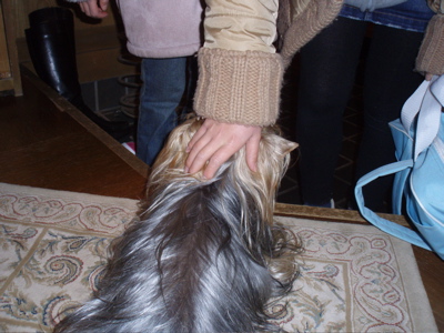 f0130894_19314460.jpg