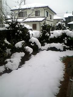 f0153998_14401564.jpg