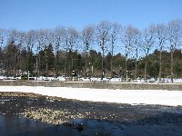 e0122199_20452945.jpg