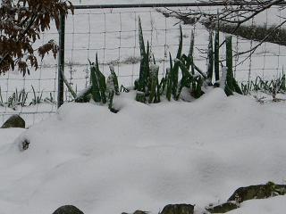 e0119003_2144164.jpg