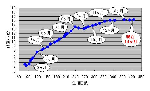 c0113109_0115684.jpg