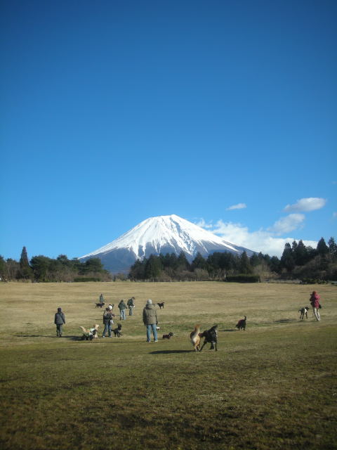 c0017311_1150490.jpg