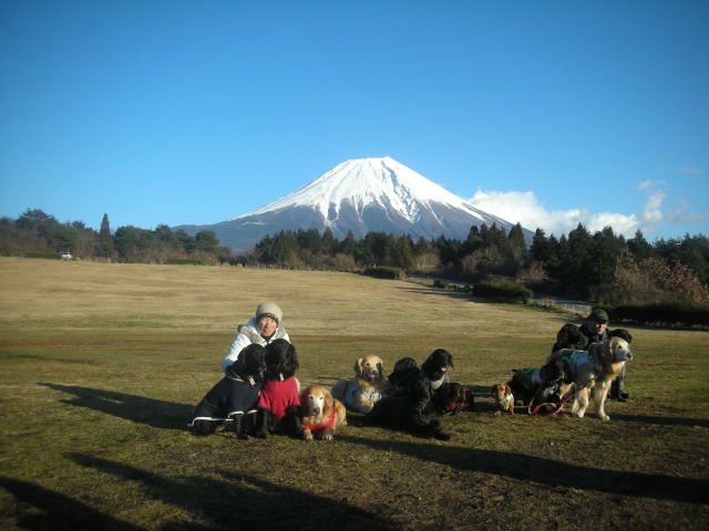c0017311_1156619.jpg