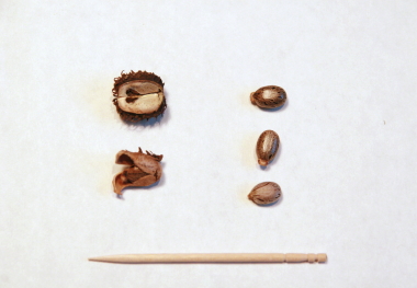 e0102713_193118.jpg
