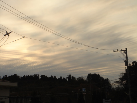 c0120817_16335399.jpg
