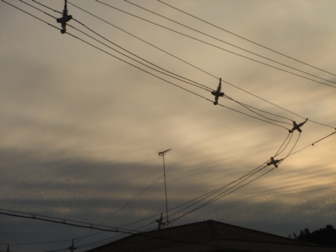 c0120817_1634696.jpg