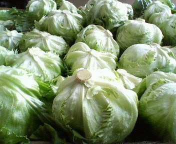 f0036223_1533669.jpg