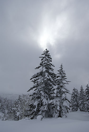 e0025030_1804065.jpg