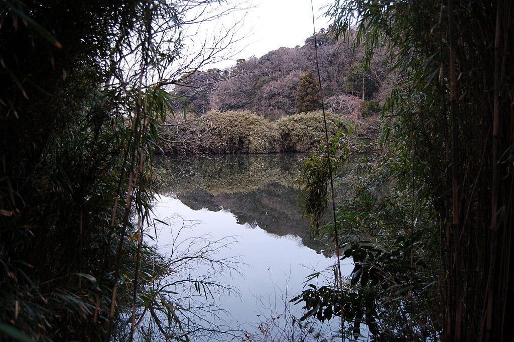 e0107030_8275747.jpg