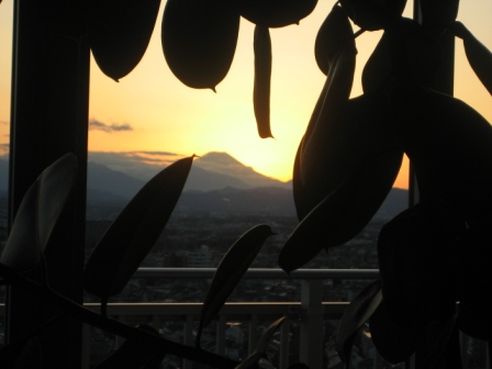 c0141431_23231135.jpg