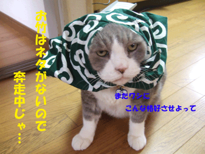 f0008935_1495613.gif