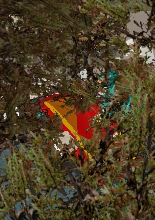 f0021041_11411352.jpg
