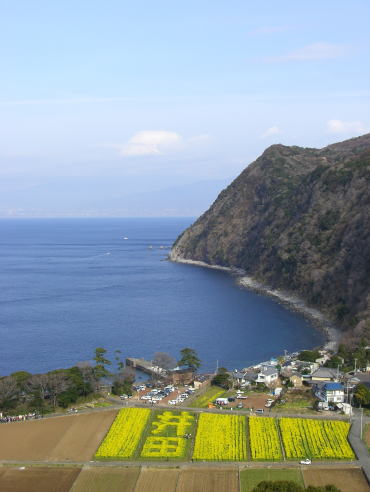 f0094843_0151014.jpg