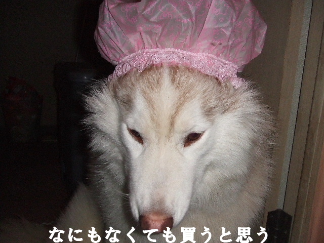 e0121548_22285767.jpg