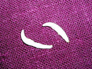 c0123149_9514476.jpg