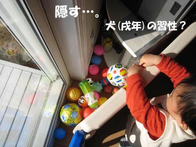 a0090451_22235040.jpg