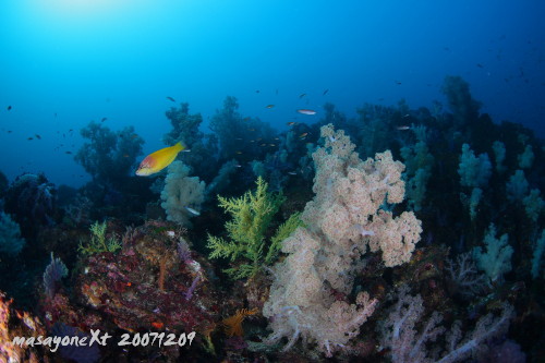 d0021952_2243268.jpg