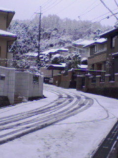 a0073360_1191921.jpg